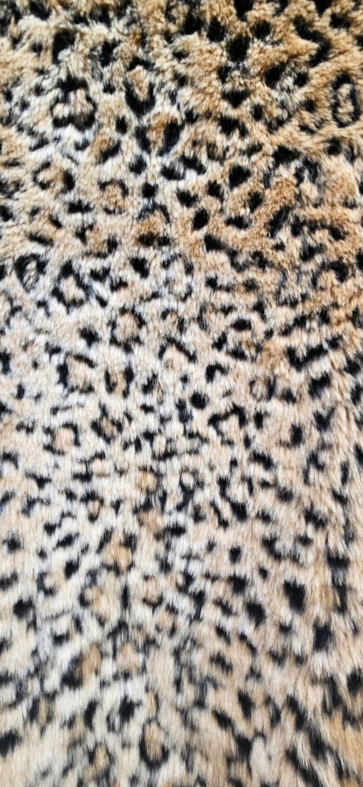 Leopard Print Jacket