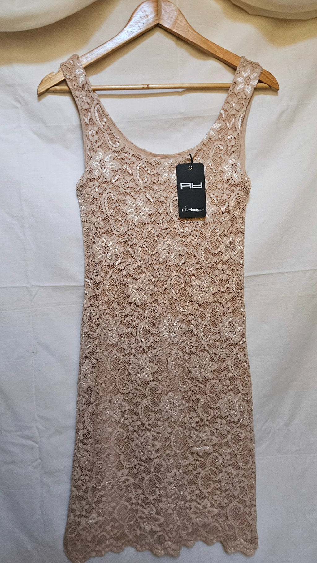 Artigli Lace Dress – Blush / Size M - G's Closet