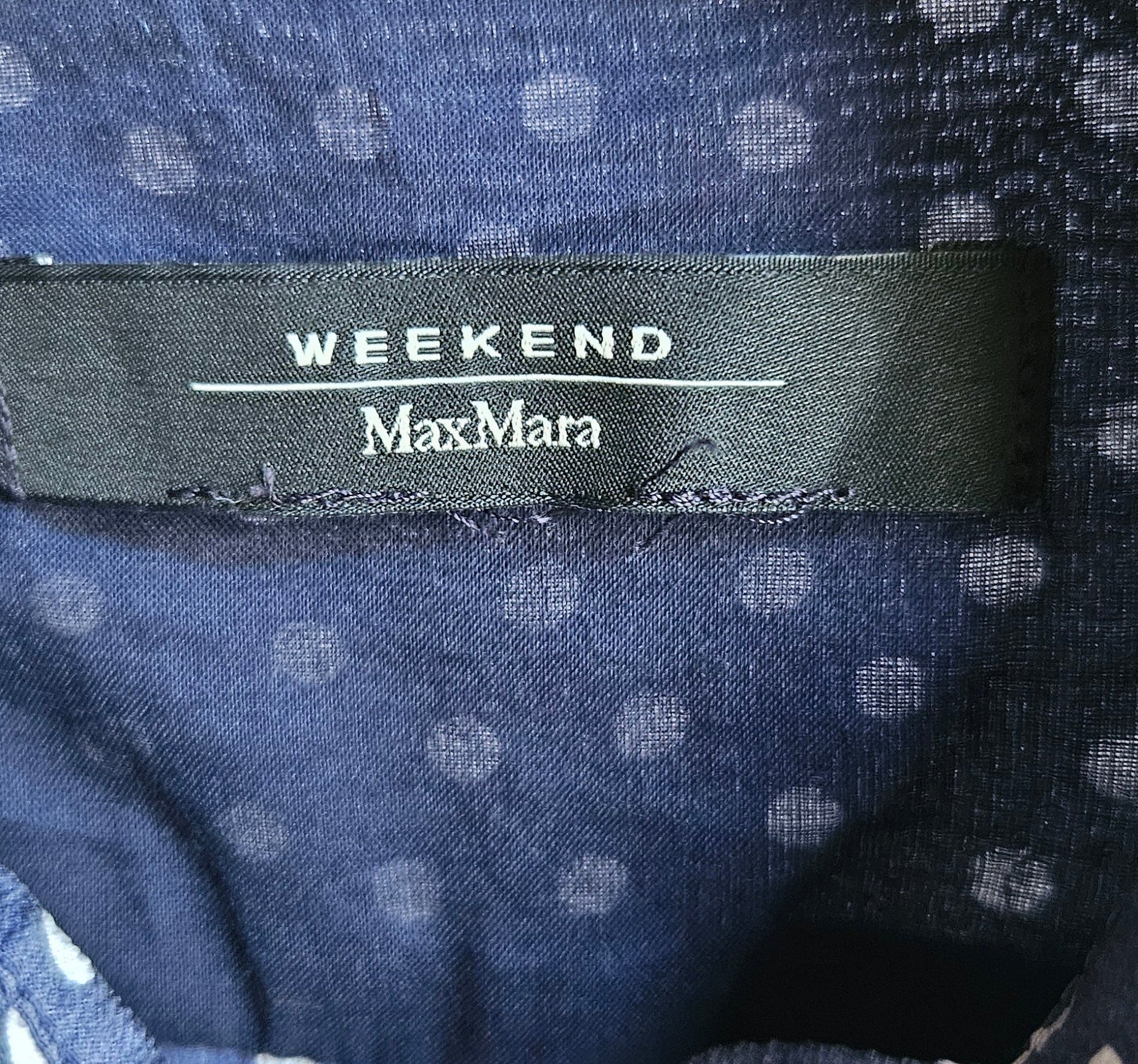 Weekend Max Mara Blue Spotted Dress
